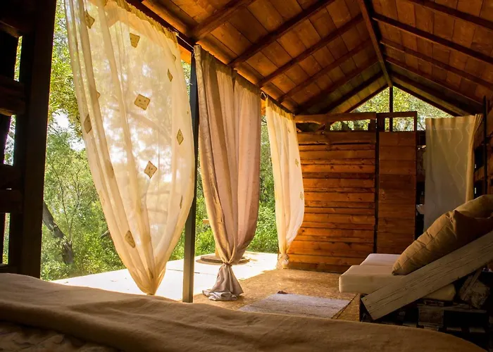 Lodge Olive Grove Oasis No4 *