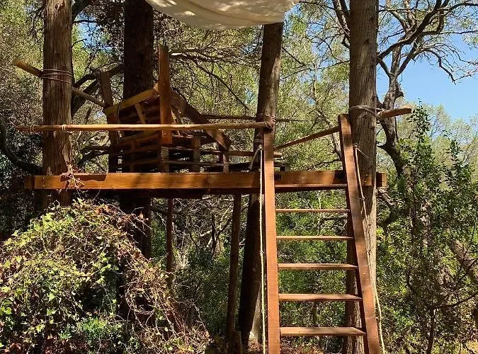 Olive Grove Oasis No4 Lodge