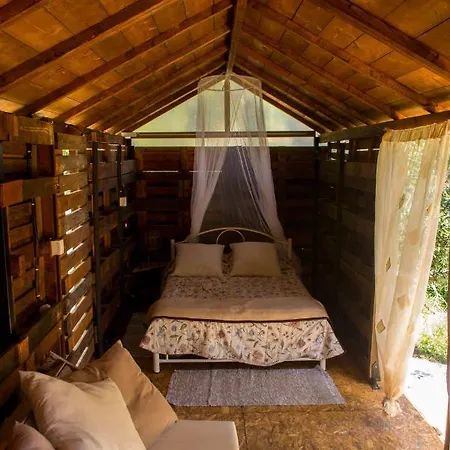 Lodge Olive Grove Oasis No4