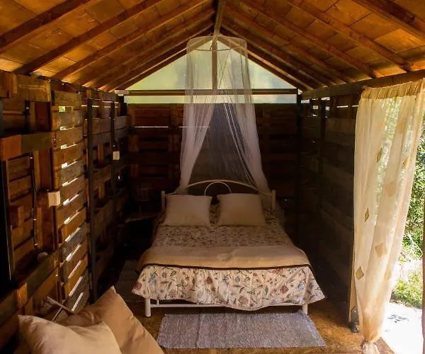Lodge Olive Grove Oasis No4