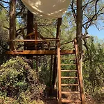 Olive Grove Oasis No4 Alojamento de Turismo Selvagem