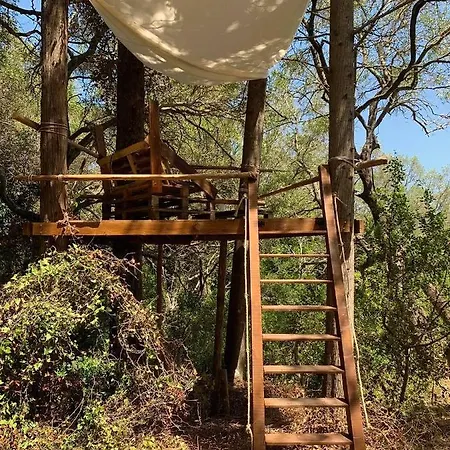 Olive Grove Oasis No4 Lodge