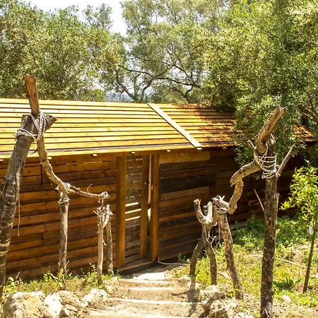 Olive Grove Oasis No4 Lodge