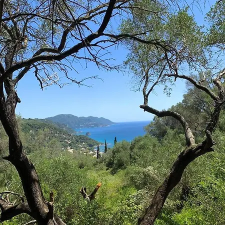 Olive Grove Oasis No4 Pelekas