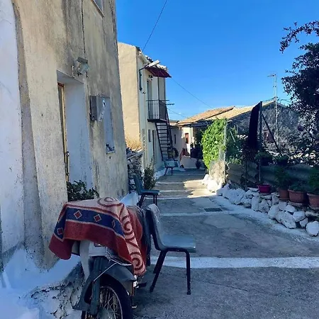 Lodge Olive Grove Oasis No4 *