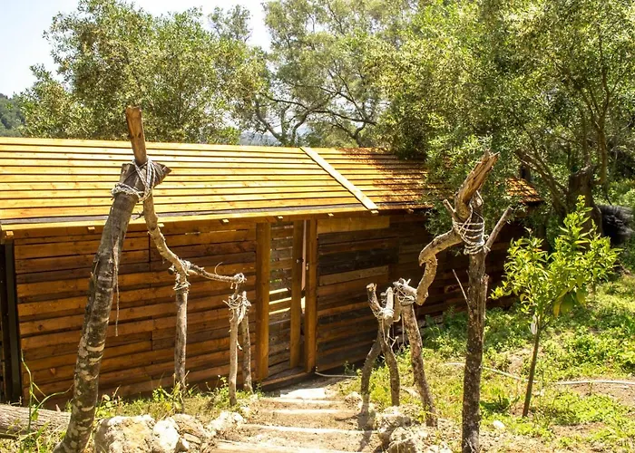 Olive Grove Oasis No4 Domek letniskowy