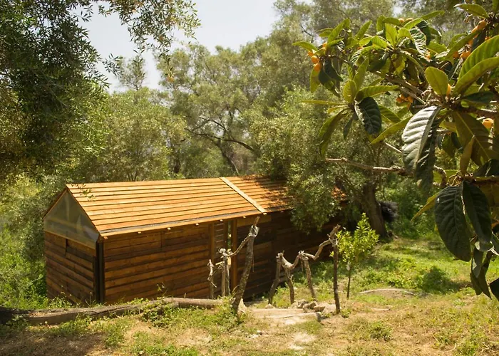 Olive Grove Oasis No4 Domek letniskowy *