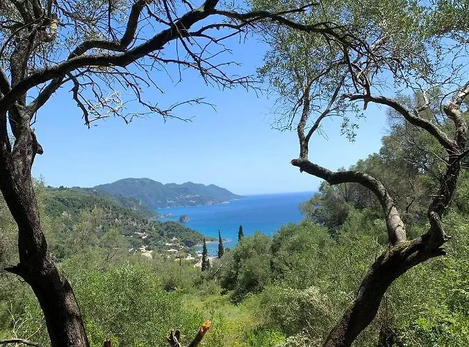 Olive Grove Oasis No4 Pelekas