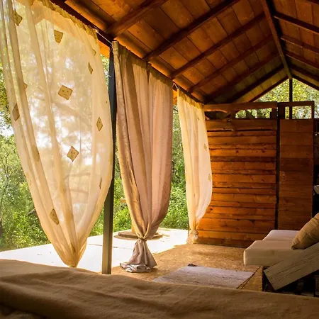 Lodge Olive Grove Oasis No4 *