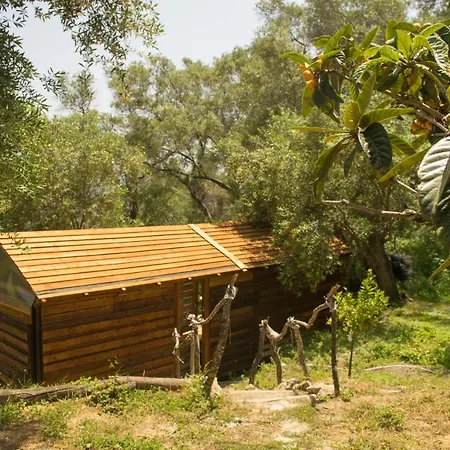 Olive Grove Oasis No4 Chata *