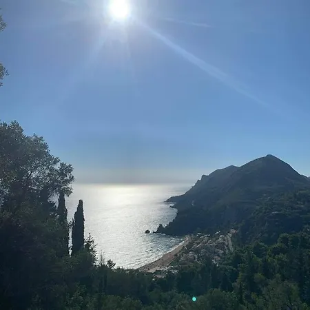 Olive Grove Oasis No4